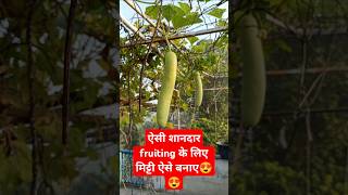 Gamle ki mitti kaise taiyar kare How to prepare potting mix easily shorts [upl. by Repsihw799]