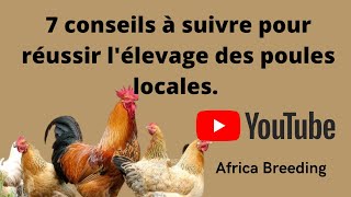 Comment réussir son élevage de poules locales en 2022 [upl. by Jinny140]