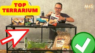 Bartagamen Basics  Dein Start ins Terrarien Leben [upl. by Virg]