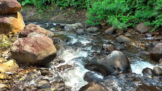 Soothing Sounds Of A Rushing River Relax And Unwind With Peaceful Water Flow  Asmr River Ambience [upl. by Sandler]