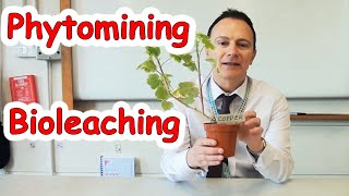 Phytomining and Bioleaching What is phytomining What is Bioleaching [upl. by Elak488]