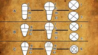 Embryogenesis and development of embryo in monocots and dicots mp4 [upl. by Jozef]