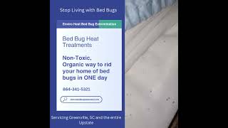 Enviro Heat Bed Bug Extermination Greenville SC bedbugscontrol bedbuginfestation [upl. by Annaik]