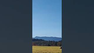 So why do these mountains look blue See answer in description mountains shortsvideo appalachia [upl. by Noeruat760]