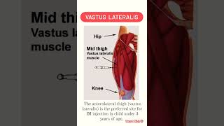 💉Intramuscular Injection Site [upl. by Fry980]