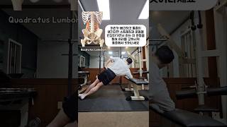 허리 통증을 위한 요방형근quadratus lumborum 운동 [upl. by Olleina]