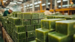 Inside a Traditional Soap Factory Producing Millions of Olive Soap Bars from Harvest to Process [upl. by Joela990]