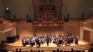 ベートーヴェン交響曲 第5番「運命」Beethoven  Symphonie Nr 5 c moll Op67 [upl. by Essa]