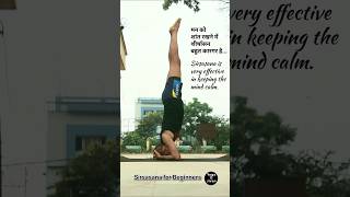 Sirsasana  The Yoga Pose for keeping the mind calm  Yoga O Jivan 🧘‍♂️ shorts yoga shortvideo [upl. by Irrahs]