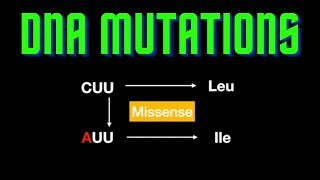 USMLE Step 1  Lesson 9  Mutations in the DNA [upl. by Mctyre495]