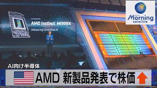 米AMD 新製品発表で株価↑ AI向け半導体【モーサテ】（2023年12月8日） [upl. by Neyugn]