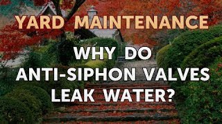 Why Do AntiSiphon Valves Leak Water [upl. by Tatia329]