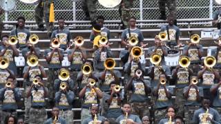 Whitehaven High School Marching Band  Conga  2014 [upl. by Esimaj34]