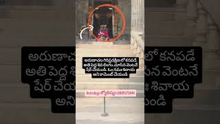 Omgod devotional love omnamahshivaya om beautiful nature godmotivation tirumala [upl. by Anoyi]