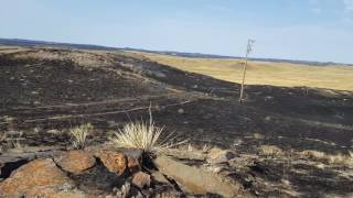 Lodgepole Complex Fire [upl. by Talie]