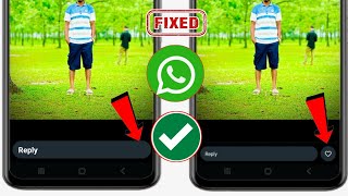 WhatsApp Status Like Option New Update  How To Fix Whatsapp Status Like Option Not Showing [upl. by Jankey]