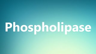 Phospholipase  Medical Definition and Pronunciation [upl. by Aramas531]