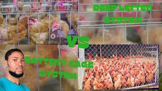 DEEP LITTER VS BATTERY CAGE SYSTEMS WHAT EVERY POULTRY FARMER SHOULD KNOW [upl. by Maddie670]