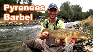 Fly Fishing in Spain Zebra Trout and Barbel in the Pyrenees [upl. by Eilssel]