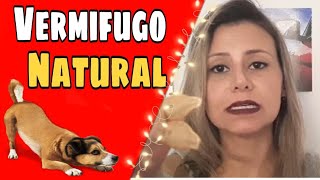 Vermifugo para cachorro natural e barato Como tomar [upl. by Nessim]