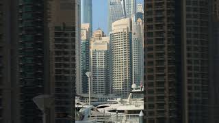 Discover the Thrill of XLine Dubai Marina Urban Zipline Extravaganza [upl. by Naveb]