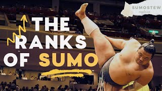 How Sumo Wrestlers are Ranked  Sumo Divisions Promotions amp Banzuke Explained [upl. by Maitland]