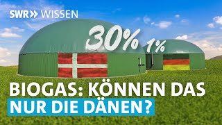 Ist Biogas eine echte Alternative zu Erdgas  SWR Wissen [upl. by Larkins540]