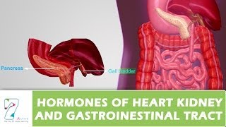 HORMONES OF HEART KIDNEY AND GASTROINESTINAL TRACT [upl. by Adnaluy564]