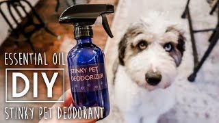 DIY Stinky Pet Deodorizer Spray [upl. by Kraft]