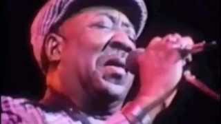 Muddy Waters  Mannish Boy Live  Amazing Version from Eric Claptons film Rolling hotel Manish Boy [upl. by Calan]