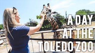 Petting The Giraffes ► Taking A Day Off From Work ► Enjoying The Toledo Zoo [upl. by Nawak]