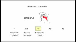 Sanskrit Consonants Pronunciation and Transliteration 001of002 [upl. by Evelinn]