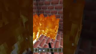 Burning A Endermite In Minecraft 33 [upl. by Pietje482]