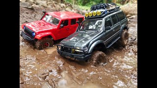 FMS Land Cruiser 80 and RocHobby Fire Horse trailing on the jungle amp beach [upl. by Aimekahs595]