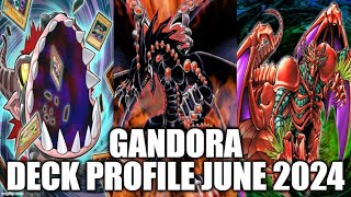 GANDORA THE DRAGON OF DESTRUCTION DECK PROFILE JUNE 2024 YUGIOH [upl. by Anaynek]