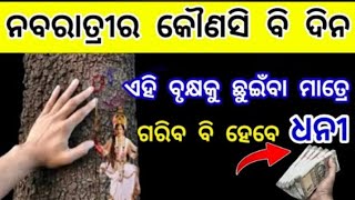 Durgapuja2024odia ନବରାତ୍ରି ସମୟରେ ଏହି ବୃକ୍ଷକୁ ଛୁଇଁକି ଆସନ୍ତୁ ଗରିବ ଜୀବନ ଦୂର ହେବNavaratri 2024 [upl. by Pickens]