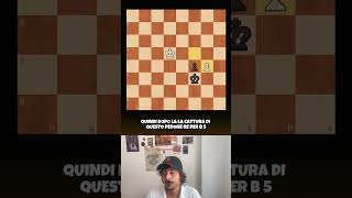 chessburgerTV scacchi [upl. by Lais919]