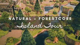 NATURAL FORESTCORE ISLAND TOUR  Animal Crossing New Horizons [upl. by Ocirrej]