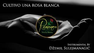 Cultivo una rosa blancaInstrumental By Džemil Sulejmanagić [upl. by Clorinde]