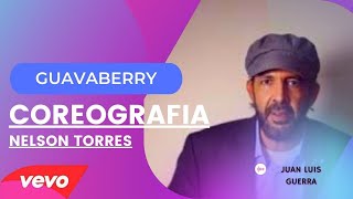 🚨 GUAVABERRY 🚨 JUAN LUIS GUERRA  COREOGRAFÍA ZUMBA BY NELSON TORRES  DANCEJNV11 [upl. by Norraa114]