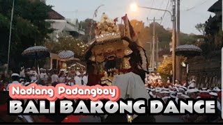 BALI BARONG DANCE  Nadiang Padangbay [upl. by Annaierb]