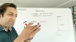 Course of Enzymes Action Biologics By Ziai [upl. by Maurilla]