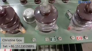 GDGS Transformer Tan Delta IPF Tester GST Test [upl. by Maro]