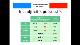 🇫🇷 Les adjectifs possessifs  🇪🇸 Los adjetivos posesivos [upl. by Madelin]