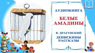 Аудиокнига Белые Амадины Драгунский В  Денискины рассказы  Аудиосказки для всех детей онлайн [upl. by Ahsaetal]