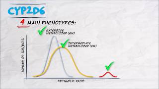 The Pharmacogenetics Series  CYP2D6 [upl. by Alim]