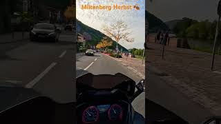 Miltenberg Herbst 2023 [upl. by Sajet]