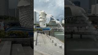 🇸🇬Merlion park singapore merlionsingapore [upl. by Sadnak]