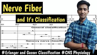 Nerve Fiber and its TypesErlanger and Gasser Classification  CNS Physiology hindi Ashish [upl. by Adnoved]