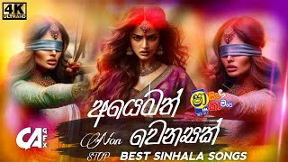 Sha Fm Sindu Kamare Nonstop 2024  new Sinhala Nonstop Trending  best Sinhala Nonstop Sindu kamare [upl. by Nathanoj]